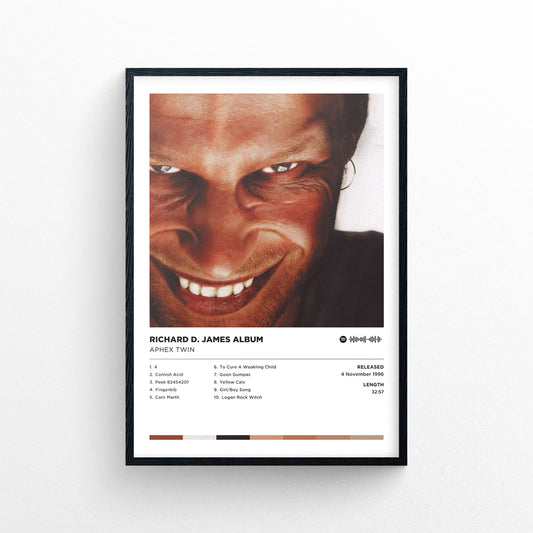 Aphex Twin - Richard D. James Album