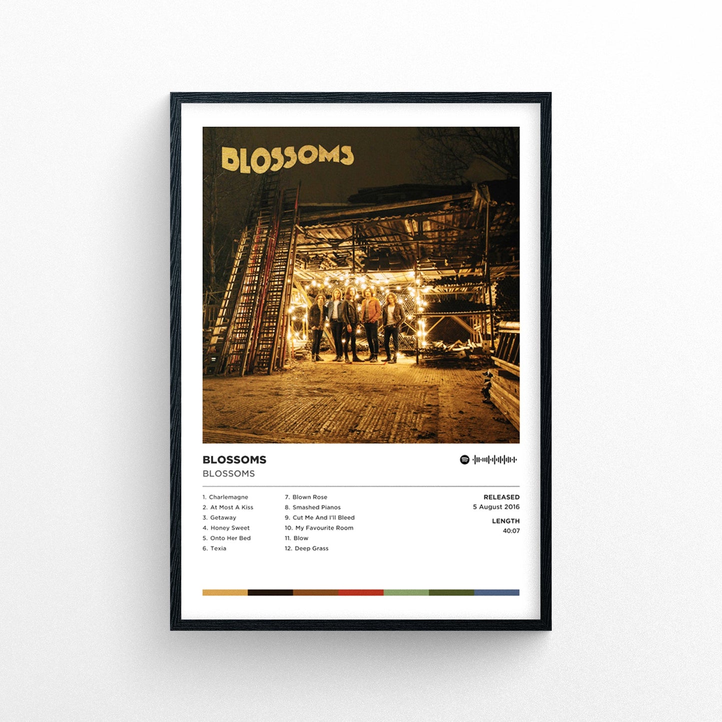 Blossoms - Blossoms