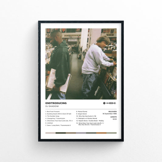 Dj Shadow - Endtroducing