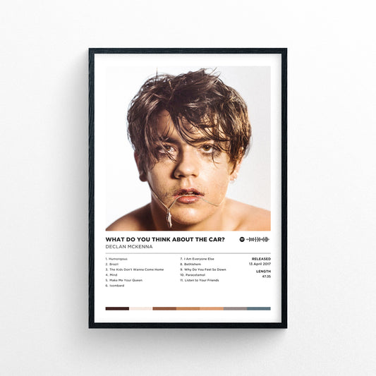 Declan Mckenna - What Do You Think About The Car