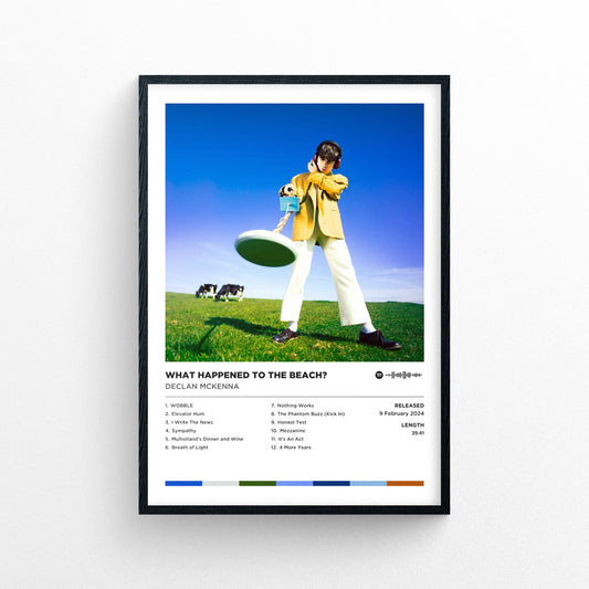 Declan Mckenna - What Happened To The Beach