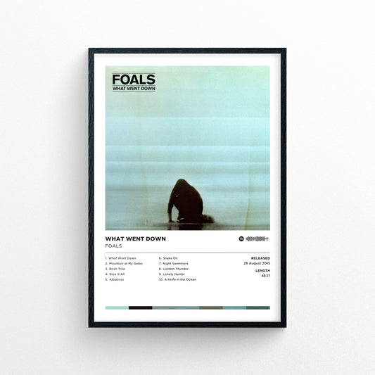 Foals - What Went Down