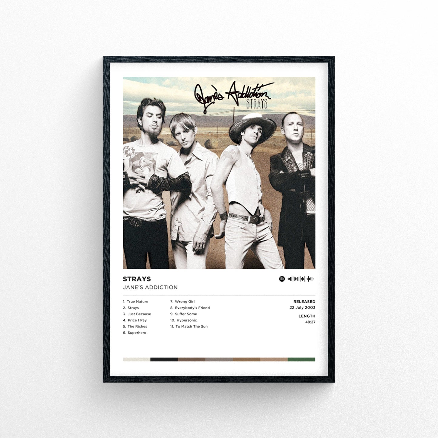 Jane's Addiction - Strays