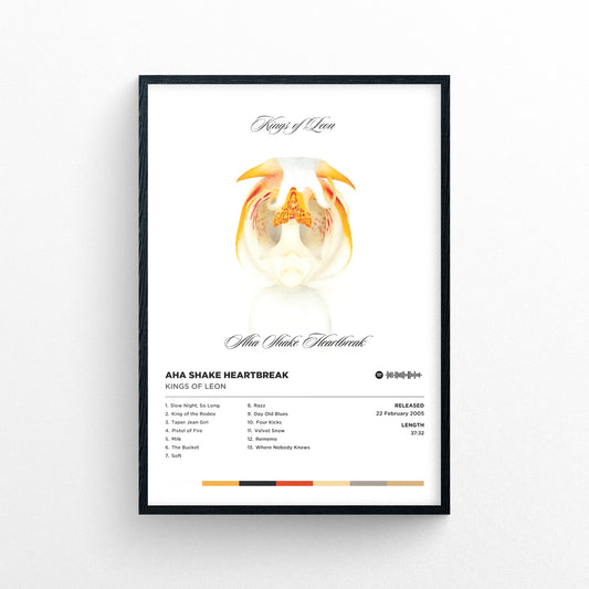 Kings of Leon - Aha Shake Heartbreak