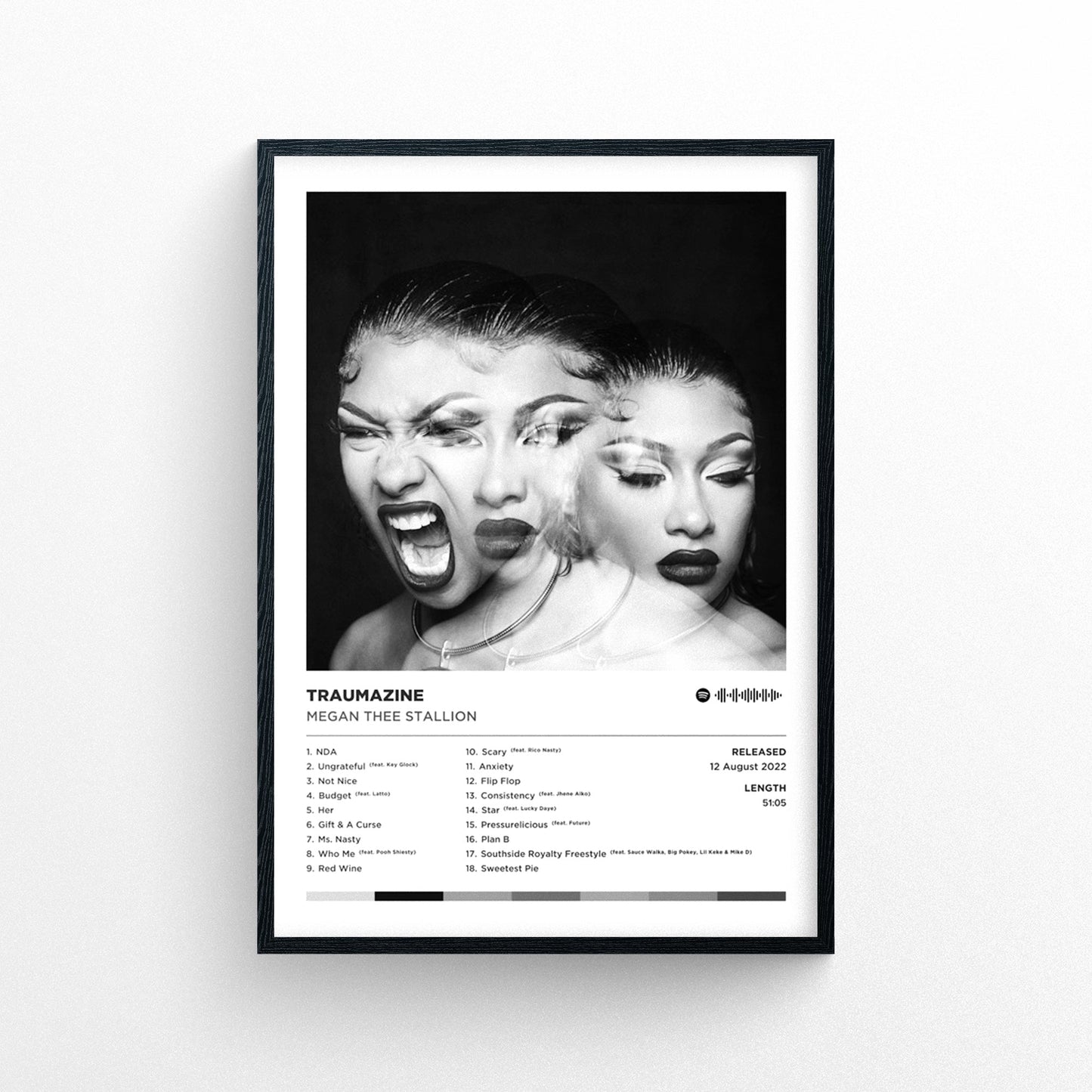 Megan Thee Stallion - Traumazine