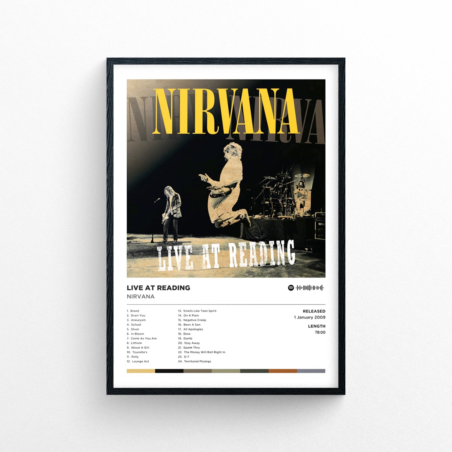 Nirvana - Live at Reading