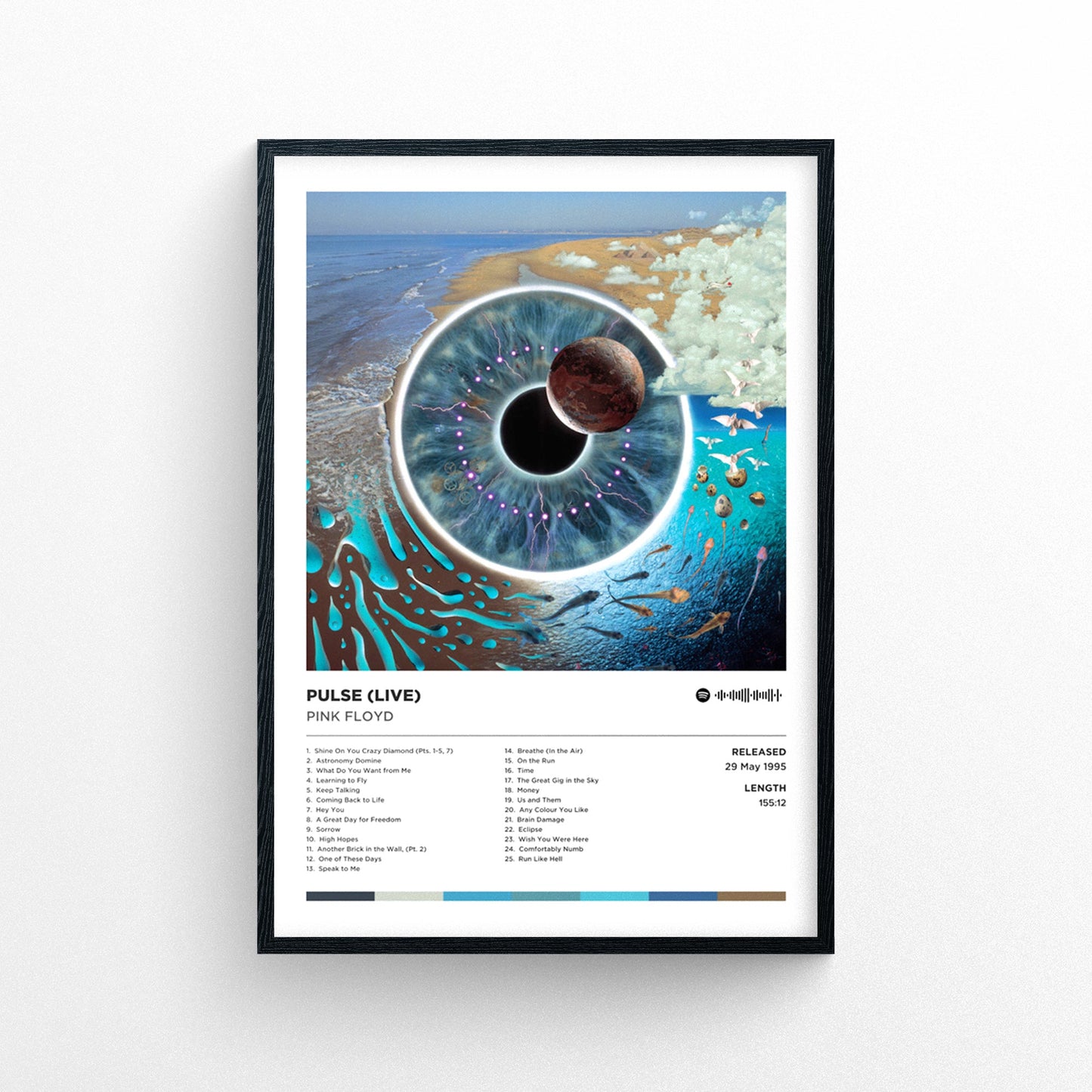 Pink Floyd - Pulse (Live)