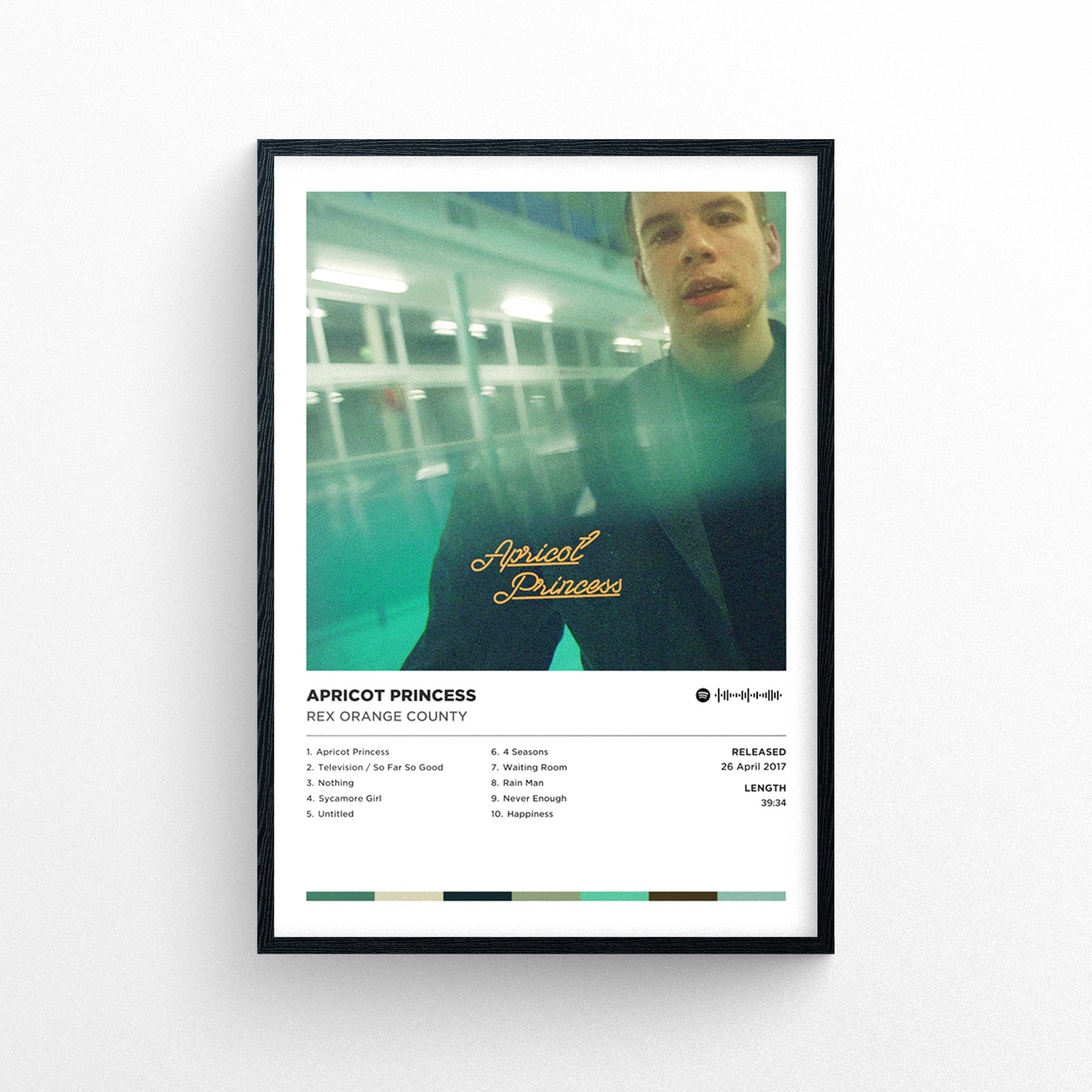 Rex Orange County - Apricot Princess