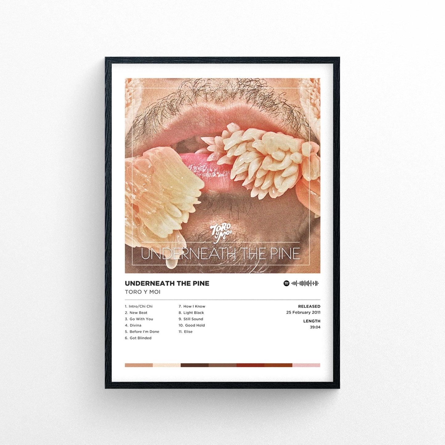 Toro Y Moi - Underneath The Pine