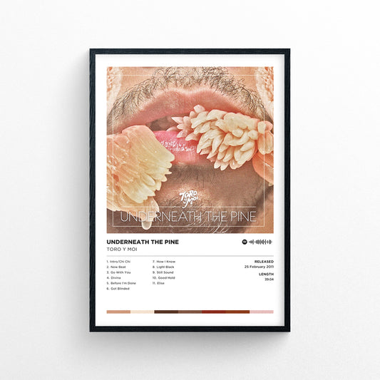 Toro Y Moi - Underneath The Pine